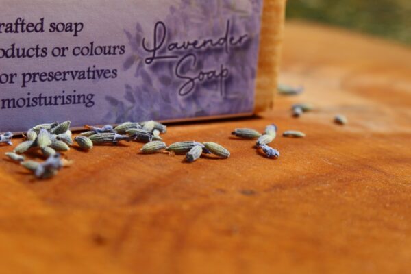 Lavender - Image 4